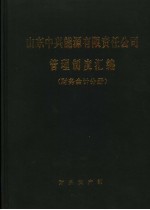 山东中兴能源有限责任公司管理制度汇编  财务会计分册