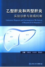 乙型肝炎和丙型肝炎实验诊断与致癌机制