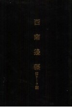 亚洲民族考古丛刊  第四辑  西南边疆  第9期