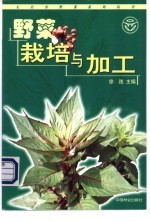 野菜栽培与加工