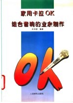 家用卡拉OK组合音响的业余制作