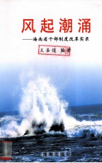 风起潮涌  海南省干部制度改革实录