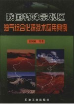 我国特殊景观区油气综合化探技术应用典例