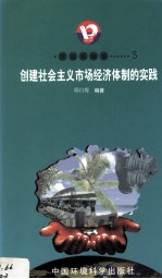 开放的海南  5  创建社会主义市场经济体制的实践