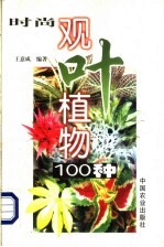 时尚观叶植物100种