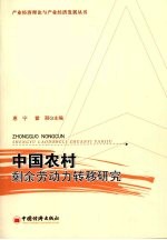 中国农村剩余劳动力转移研究