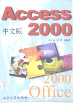 Access 2000中文版