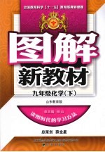 图解新教材  化学  九年级  下  山东教育版