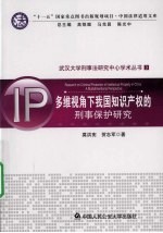 多视角下我国知识产权的刑事保护研究