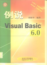 例说Visual Basic 6.0