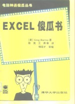 EXCEL傻瓜书