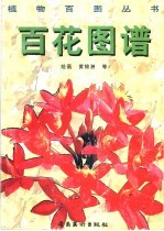 百花图谱