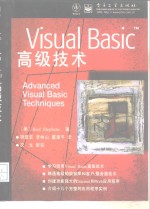 Visual Basic高级技术