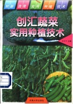 创汇蔬菜实用种植技术