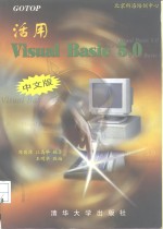 GOTOP 活用Visual Basic 5.0 中文版