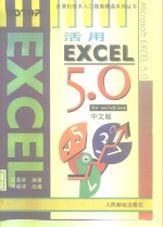 活用EXCEL 5.0 for Windows中文版