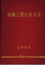 山东三资企业大全  1995