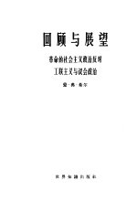 回顾与展望  革命的社会主义政治反对工联主义与议会政治