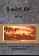 鲁山文史资料  第19辑