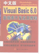 中文版Visual Basic 6.0数据库开发应用教程