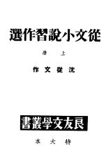 从文小说习作选  上