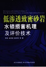 低渗透致密砂岩水锁损害机理及评价技术