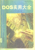 DOS实用大全