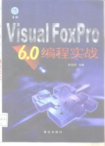 Visual FoxPro 6.0编程实战