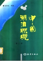 中国湖泊环境  第3册