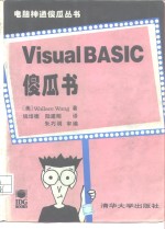 Visual BASIC傻瓜书