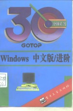 Windows 中文版/进阶