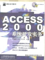 Access 2000系统开发实务