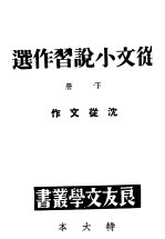 从文小说习作选  下