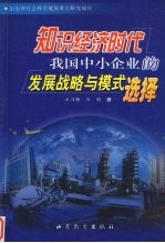 知识经济时代我国中小企业的发展战略与模式选择