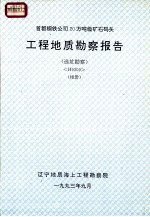 首都钢铁公司20万吨级矿石码头  工程地质勘察报告  （选址勘察）  H9309  （相册）