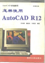 怎样使用AutoCAD R12