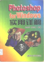 Photoshop for Windows 实用详解