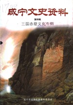 咸宁文史资料  第3辑  三国赤壁文化专辑