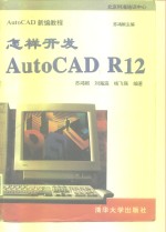 怎样开发AutoCAD R12