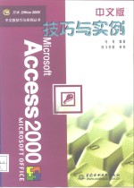 Access 2000中文版技巧与实例