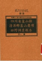 四川省庐山县清源乡庐山庆坛田野调查报告