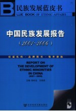 民族发展蓝皮书  中国民族发展报告  2001-2006