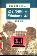 学习使用中文Windows3.1