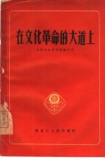 在文化革命的大道上  农村业余教育经验介绍