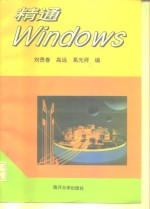 精通Windows