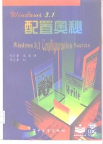 Windows 3.1配置奥秘