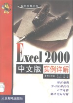 Excel 2000中文版实例详解