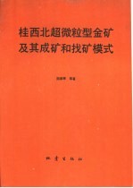 桂西北超微粒型金矿及其成矿和找矿模式