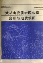 武功山变质岩区构造变形与地质填图