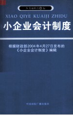 小企业会计制度